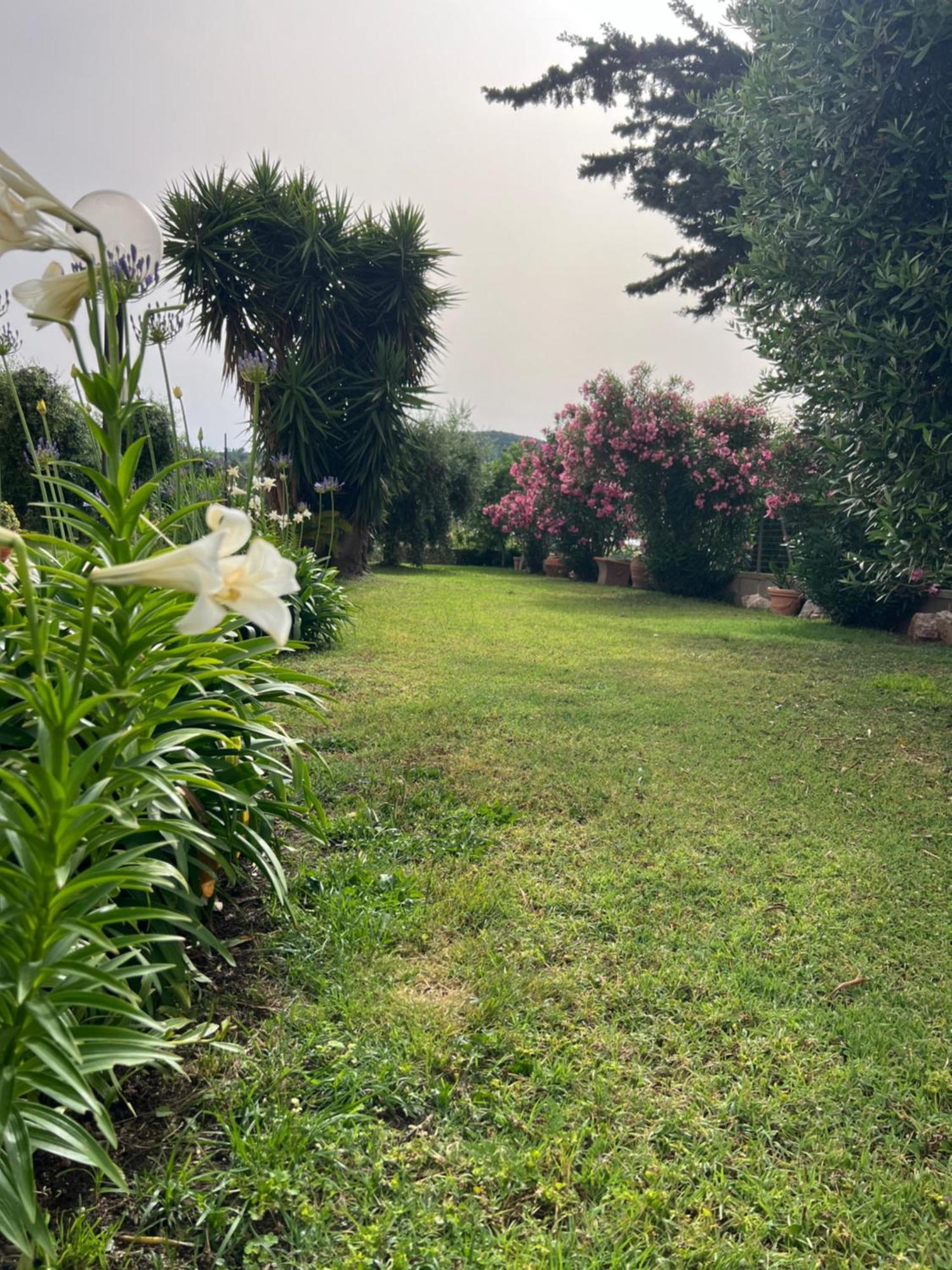 Agriturismo Il Giardino Degli Olivi Appartamenti Castiglione della Pescaia Exterior foto